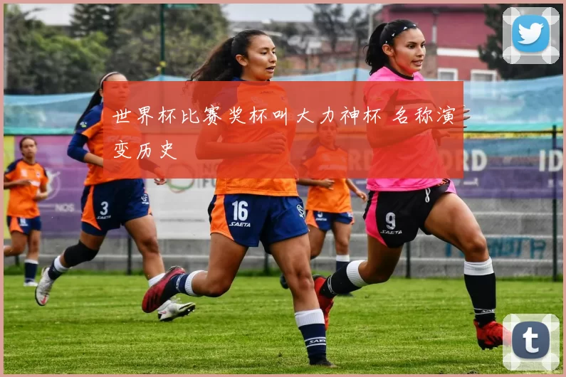 世界杯比赛奖杯叫大力神杯 名称演变历史