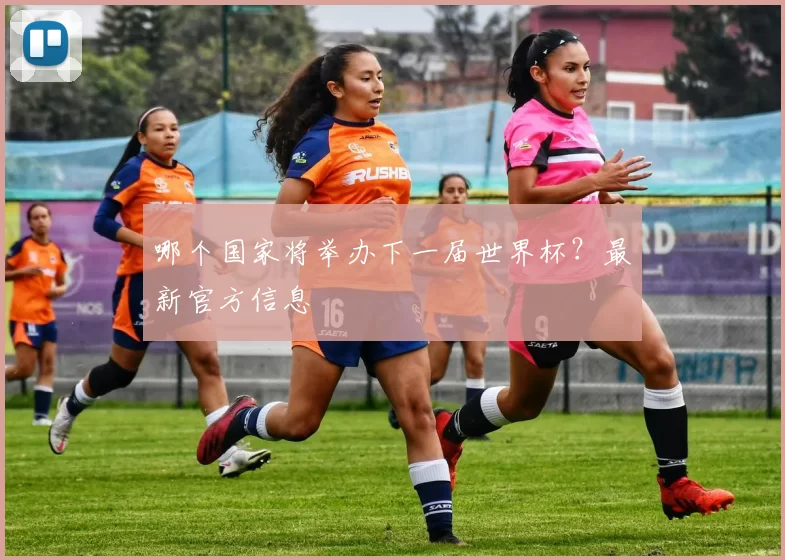 哪个国家将举办下一届世界杯？最新官方信息