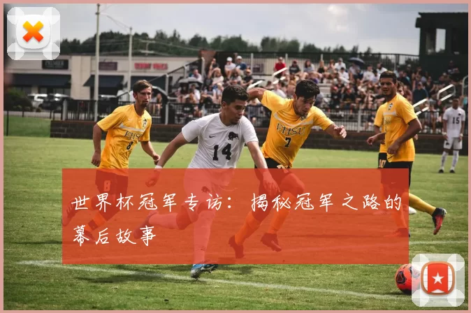 世界杯冠军专访:揭秘冠军之路的幕后故事