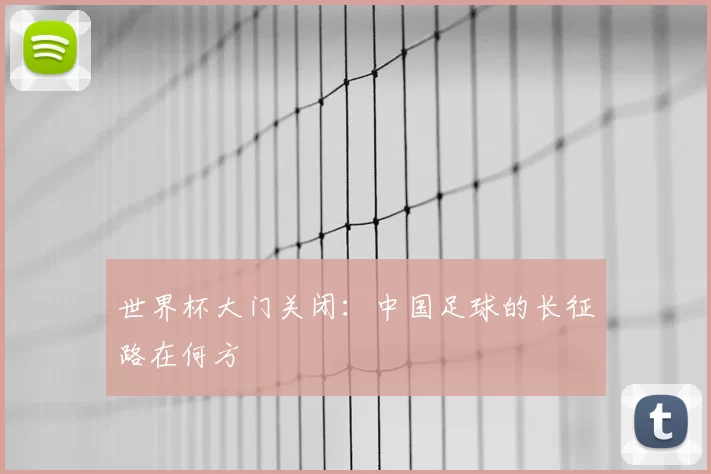 世界杯大门关闭:中国足球的长征路在何方
