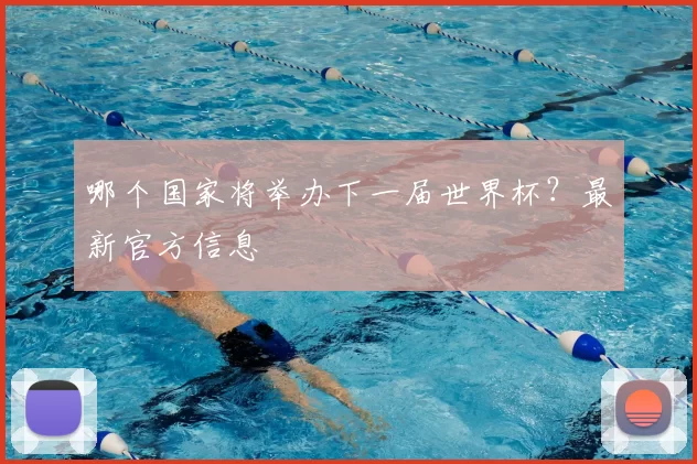 哪个国家将举办下一届世界杯？最新官方信息