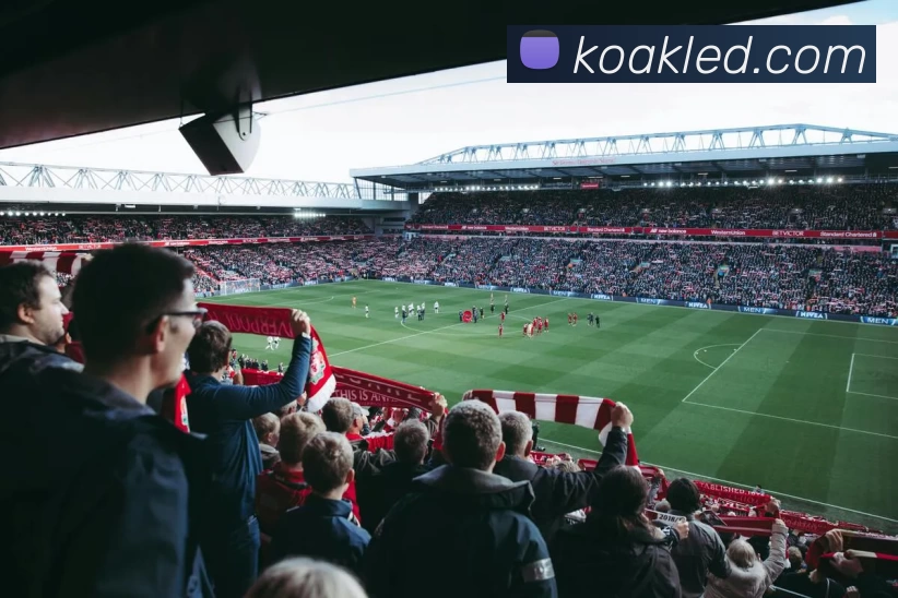 App Interface Preview