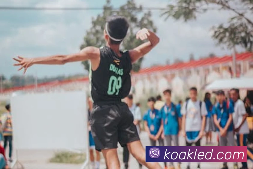 星空体育APP 封面图